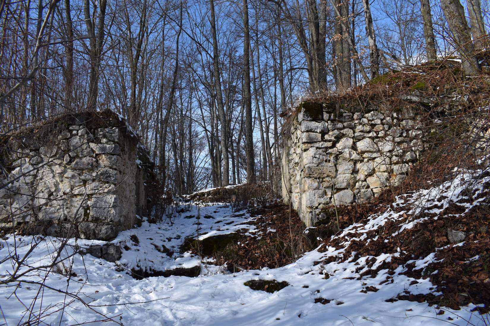 Tisovecký hrad